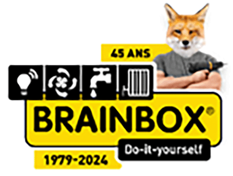 Logo BRAINBOX