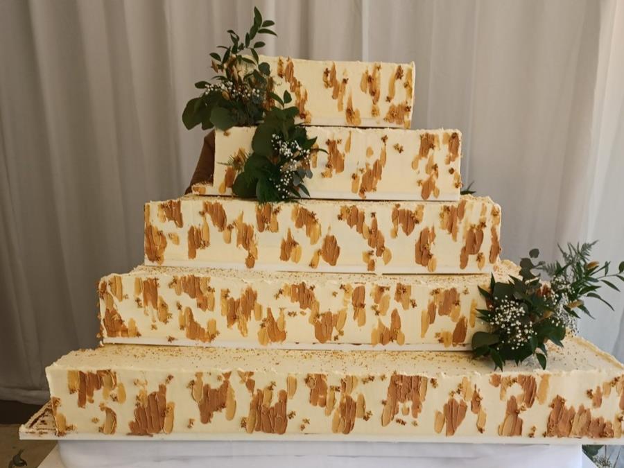 Ter Groene Poorte bat le record du monde de gâteau végan