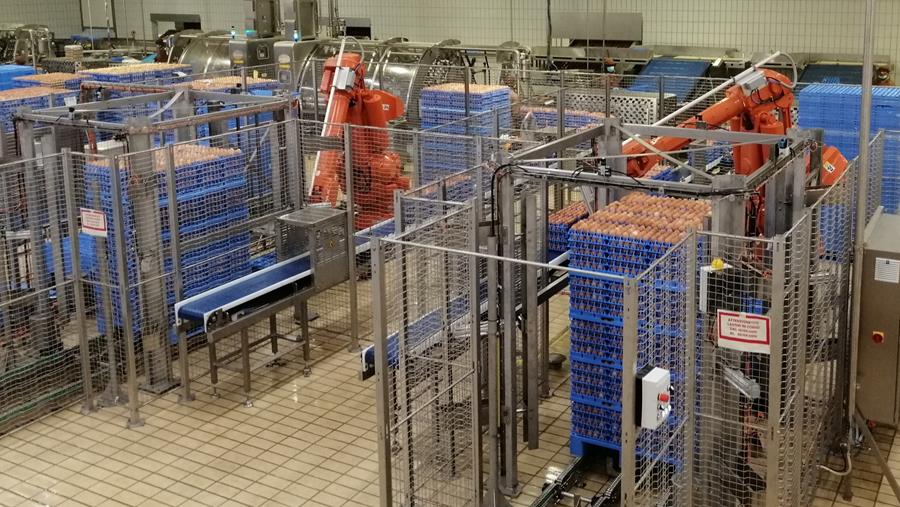 STOKVIS RENFORCE SA POSITION DANS L'INDUSTRIE DES ŒUFS GRÂCE À UN NOUVEAU RACHAT