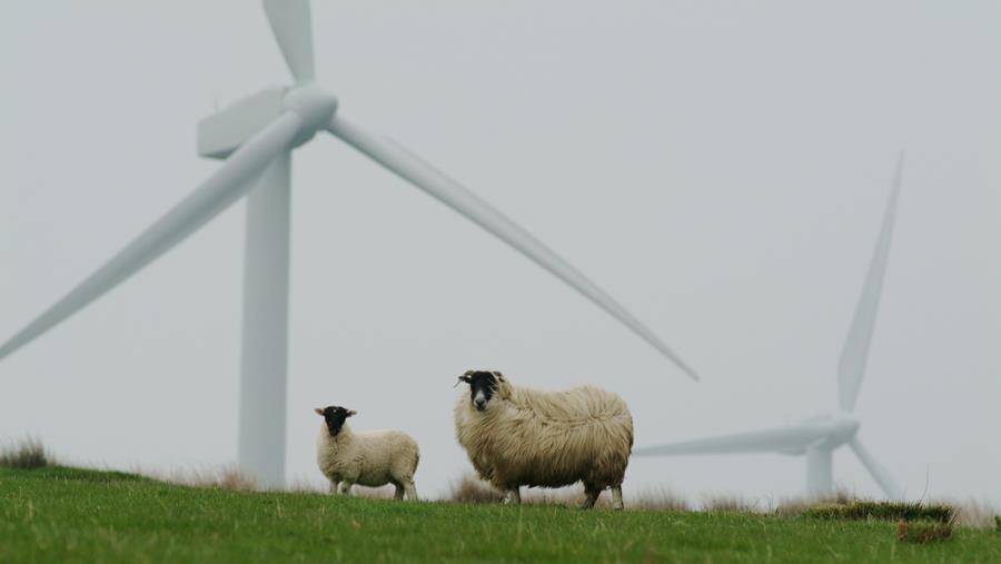 Voedingsindustrie zet de energietransitie in