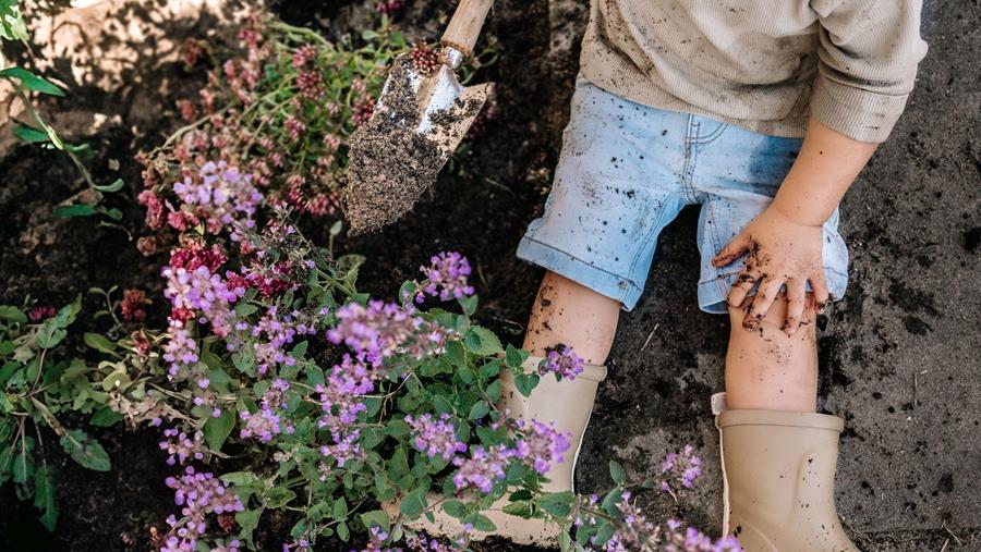 Evergreen Garden Care adopte la tendance des solutions naturelles