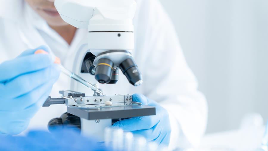 Le nombre de spin-offs universitaires multiplié par six en 25 ans