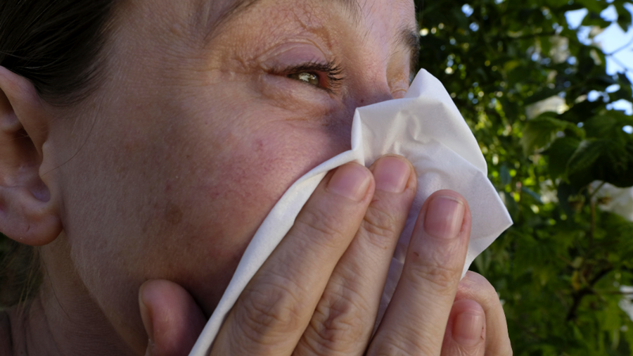 Pollenseizoen officieel van start