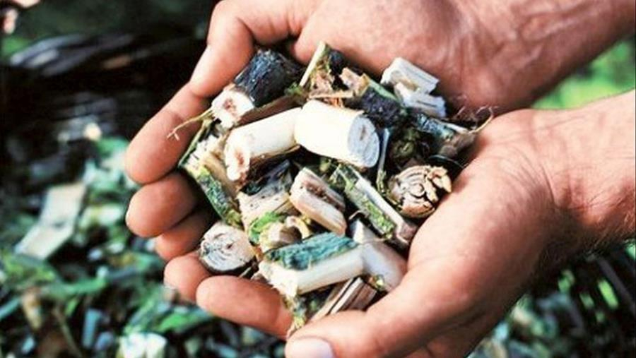 Hoe gebruik je een hakselaar?